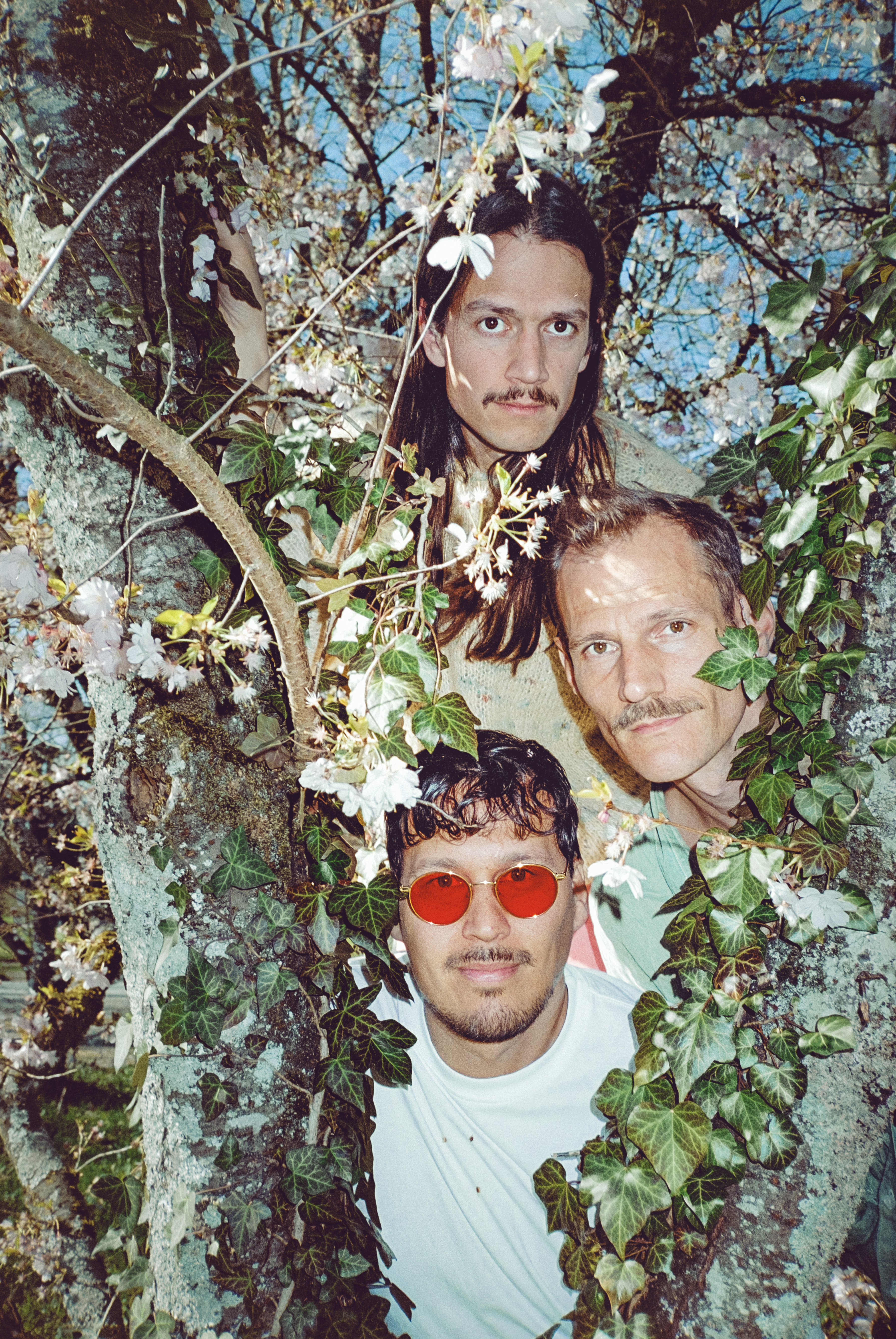 Veranstaltungsbild für LÖWENZAHNHONIG